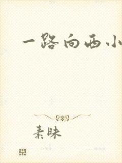 一路向西小说