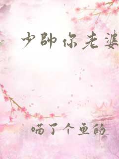 少帅你老婆
