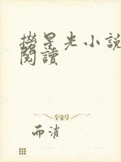 捞星光小说免费阅读