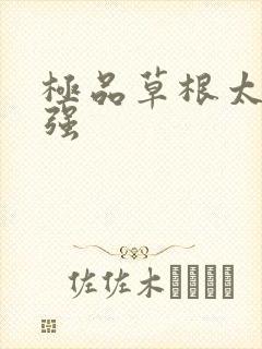 极品草根太子张强