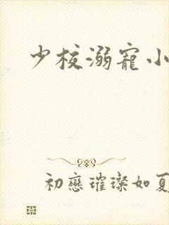 少校溺宠小小妻