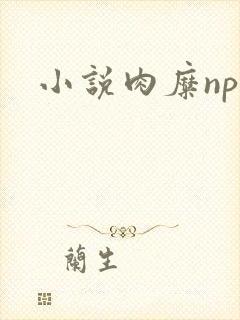 小说肉糜np