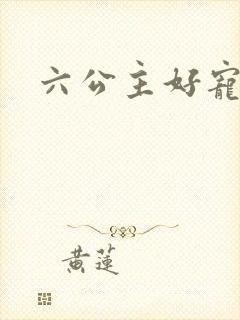六公主好宠