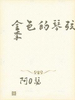 金色的琴弦第二季