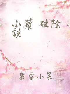 小萝 破除 小说