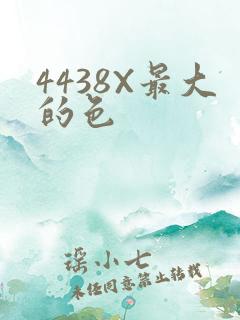 4438X最大的色