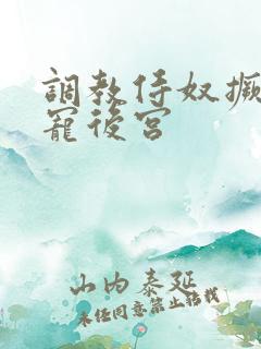 调教侍奴撅臀男宠后宫