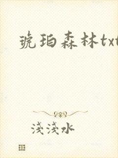 琥珀森林txt