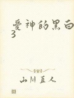 爱神的黑白羽翼3