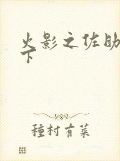 火影之佐助行天下