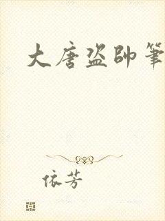 大唐盗帅笔趣阁