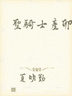 圣骑士产卵记