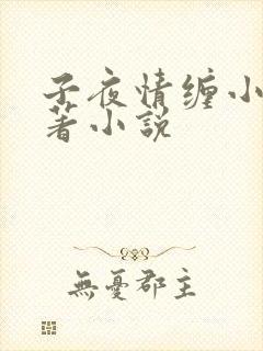 子夜情缠小说原著小说