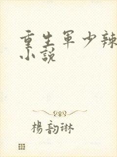 重生军少辣娇妻小说