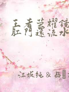 王者荣耀镜被捅肛门还流水