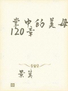 掌中的美母版主120章