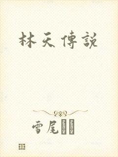林天传说