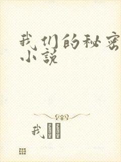 我们的秘密泰剧小说