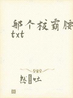 那个校霸腰好软txt