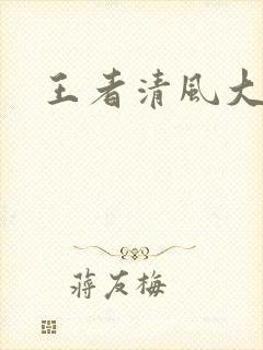 王者清风大结局