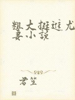 粗大挺进尤物娇妻小说