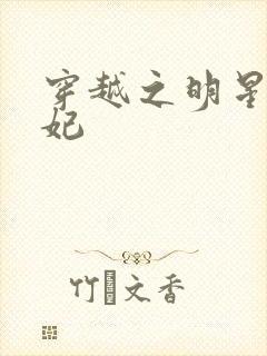 穿越之明星太子妃