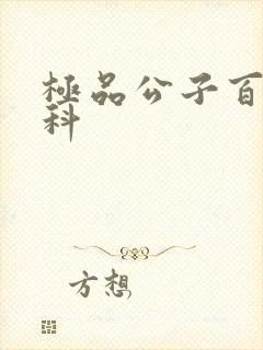 极品公子百度百科