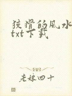 狡猾的风水相师txt下载