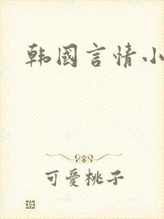 韩国言情小说