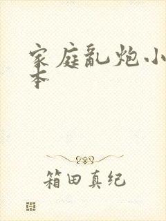 家庭乱炮小说全本