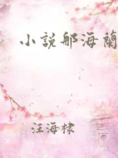 小说那海兰珠