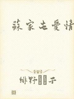 苏家屯爱情故事