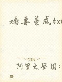 娇妻养成txt
