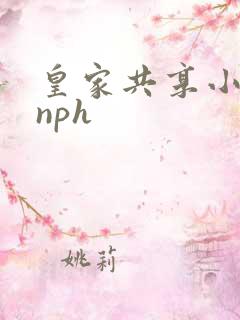 皇家共享小公主nph