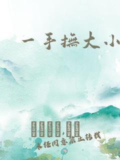 一手抚大小说
