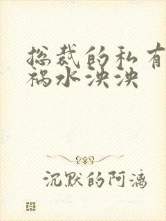 总裁的私有宝贝祸水泱泱