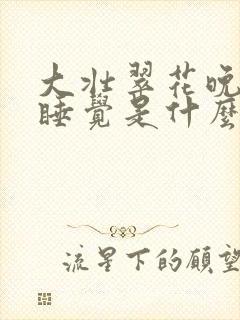 大壮翠花晚上不睡觉是什么电视剧