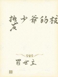 拽少爷的校花女友