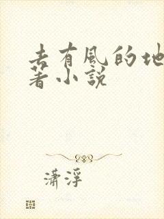 去有风的地方原著小说