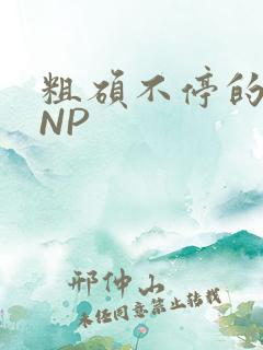粗硕不停的进出NP