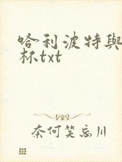 哈利波特与火焰杯txt