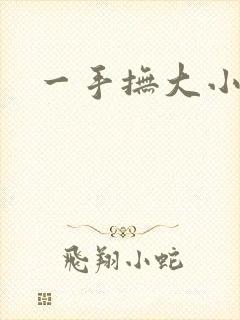 一手抚大小说