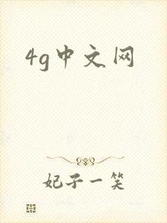 4g中文网