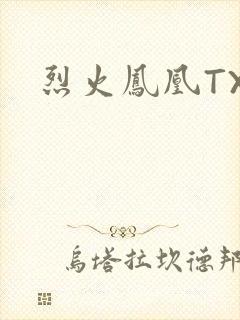 烈火凤凰TXT