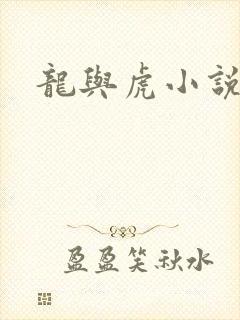龙与虎小说