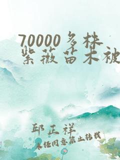 70000多株紫薇苗木被强毁