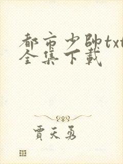 都市少帅txt全集下载