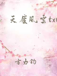 天庐风云txt