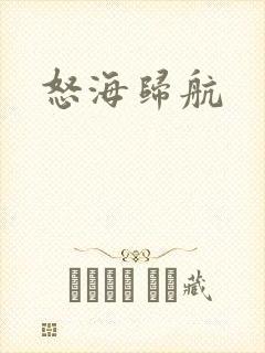 怒海归航