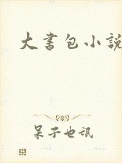 大书包小说